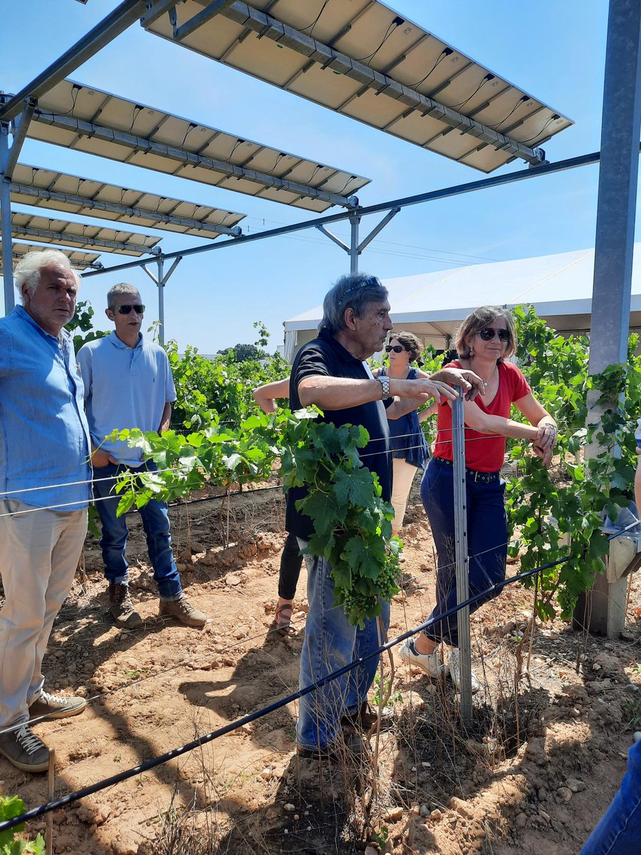 CultivonsDemain's tweet photo. Pierre Escudié, propriétaire exploitant du Domaine de Nidolères, accueille l’évènement #CultivonsDemain ! sur sa propriété : le premier démonstrateur mondial de la technologie Sun'Agri, en service depuis 2018. 🍇 https://t.co/74yN7jUPgu
