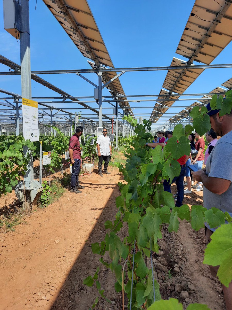 CultivonsDemain's tweet photo. Pierre Escudié, propriétaire exploitant du Domaine de Nidolères, accueille l’évènement #CultivonsDemain ! sur sa propriété : le premier démonstrateur mondial de la technologie Sun'Agri, en service depuis 2018. 🍇 https://t.co/74yN7jUPgu