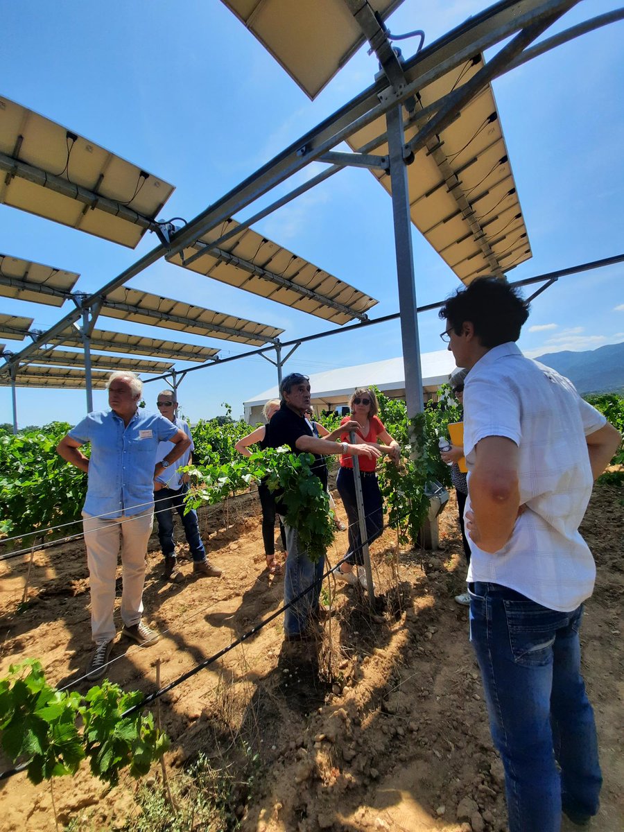CultivonsDemain's tweet photo. Pierre Escudié, propriétaire exploitant du Domaine de Nidolères, accueille l’évènement #CultivonsDemain ! sur sa propriété : le premier démonstrateur mondial de la technologie Sun'Agri, en service depuis 2018. 🍇 https://t.co/74yN7jUPgu