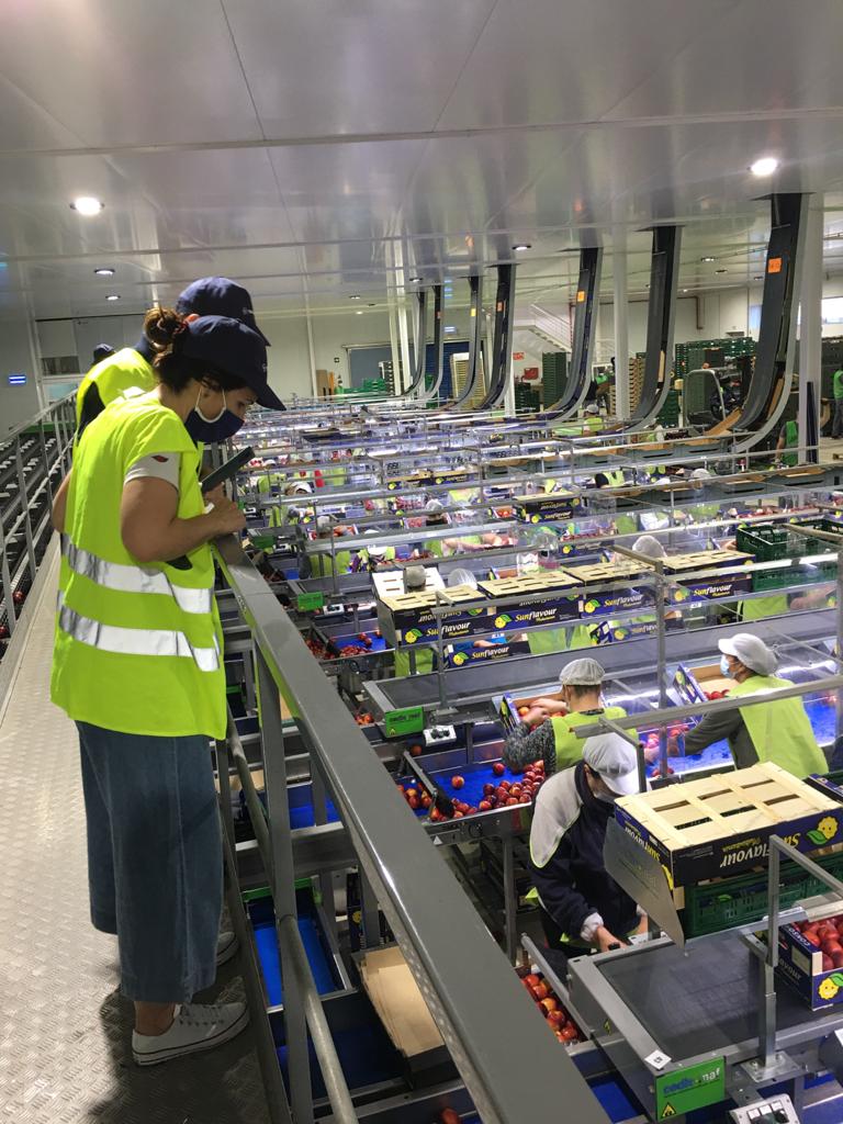 fita_aragon's tweet photo. Monitorizamos a través de dispositivos #TICs los posibles daños que la fruta sufre en las centrales. 
👉🏿 Son esos pequeños dispositivos que podéis ver en el palot azul medimos variables como las vibraciones, saltos, caídas, golpes... que afectan negativamente 
▶️@TICS4FRUIT https://t.co/xrG1Kh4Tza