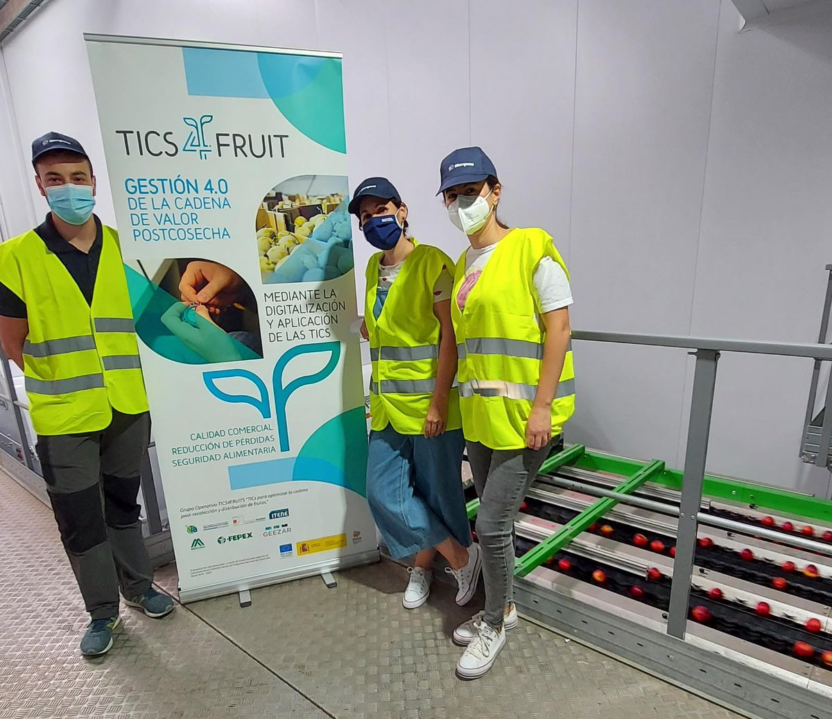 Monitorizamos a través de dispositivos #TICs los posibles daños que la fruta sufre en las centrales. 
👉🏿 Son esos pequeños dispositivos que podéis ver en el palot azul medimos variables como las vibraciones, saltos, caídas, golpes... que afectan negativamente 
▶️@TICS4FRUIT