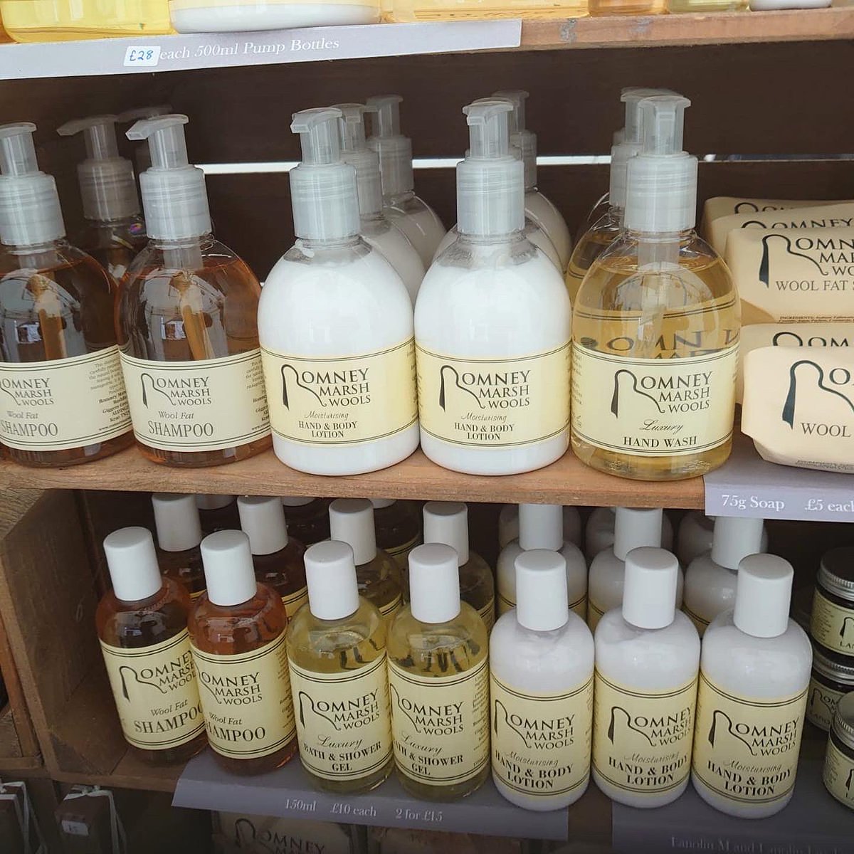 Romney Marsh Wools tweet media