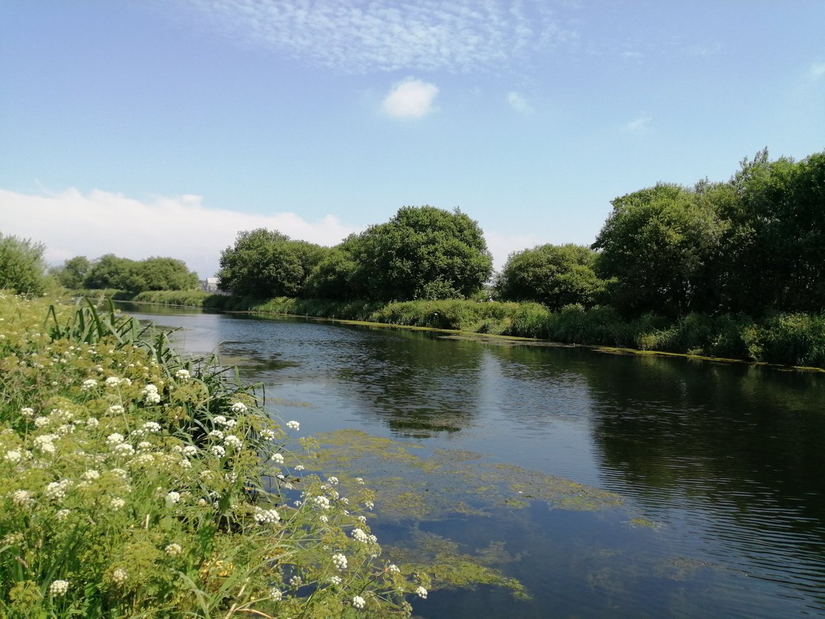PascaleExeter's tweet photo. The forecast said rain around 11am .#ReadingWalk #OnTheMove 🌞🌞🌞 https://t.co/IlZSKrS5HD