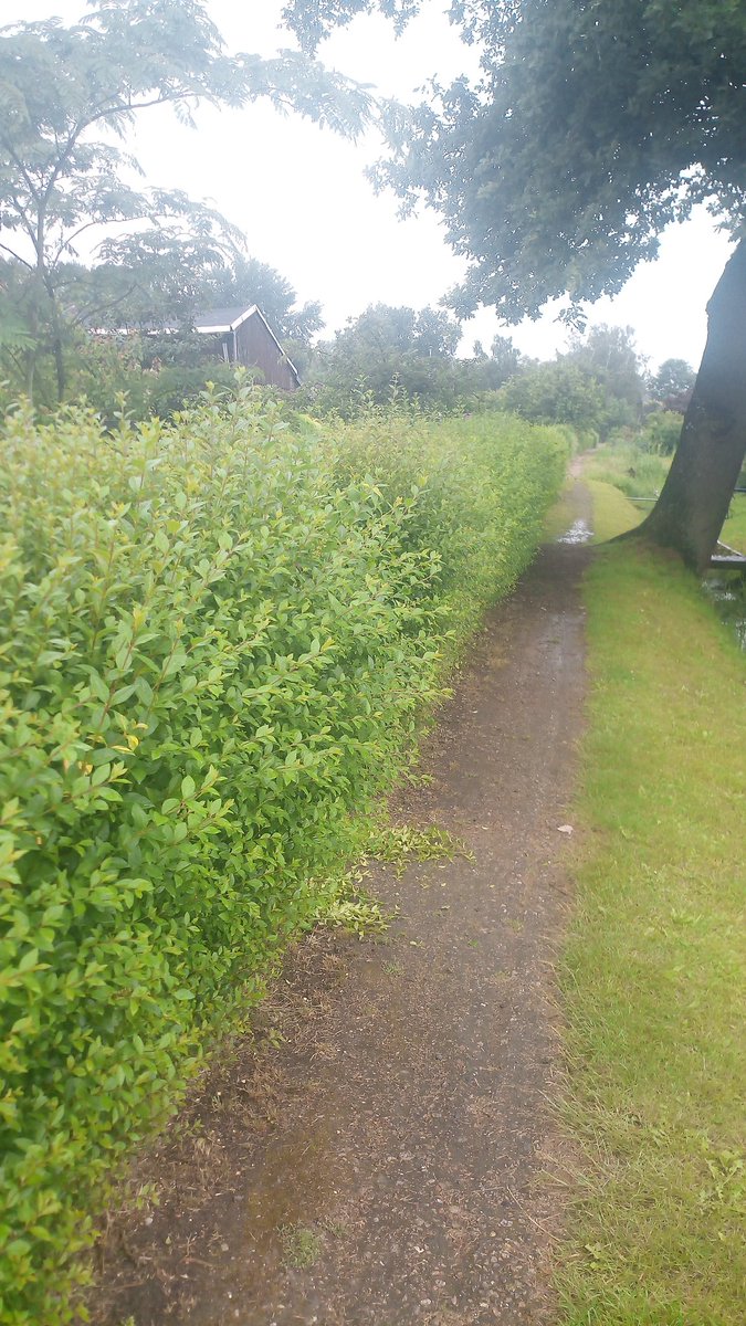 Eike Usher tweet media