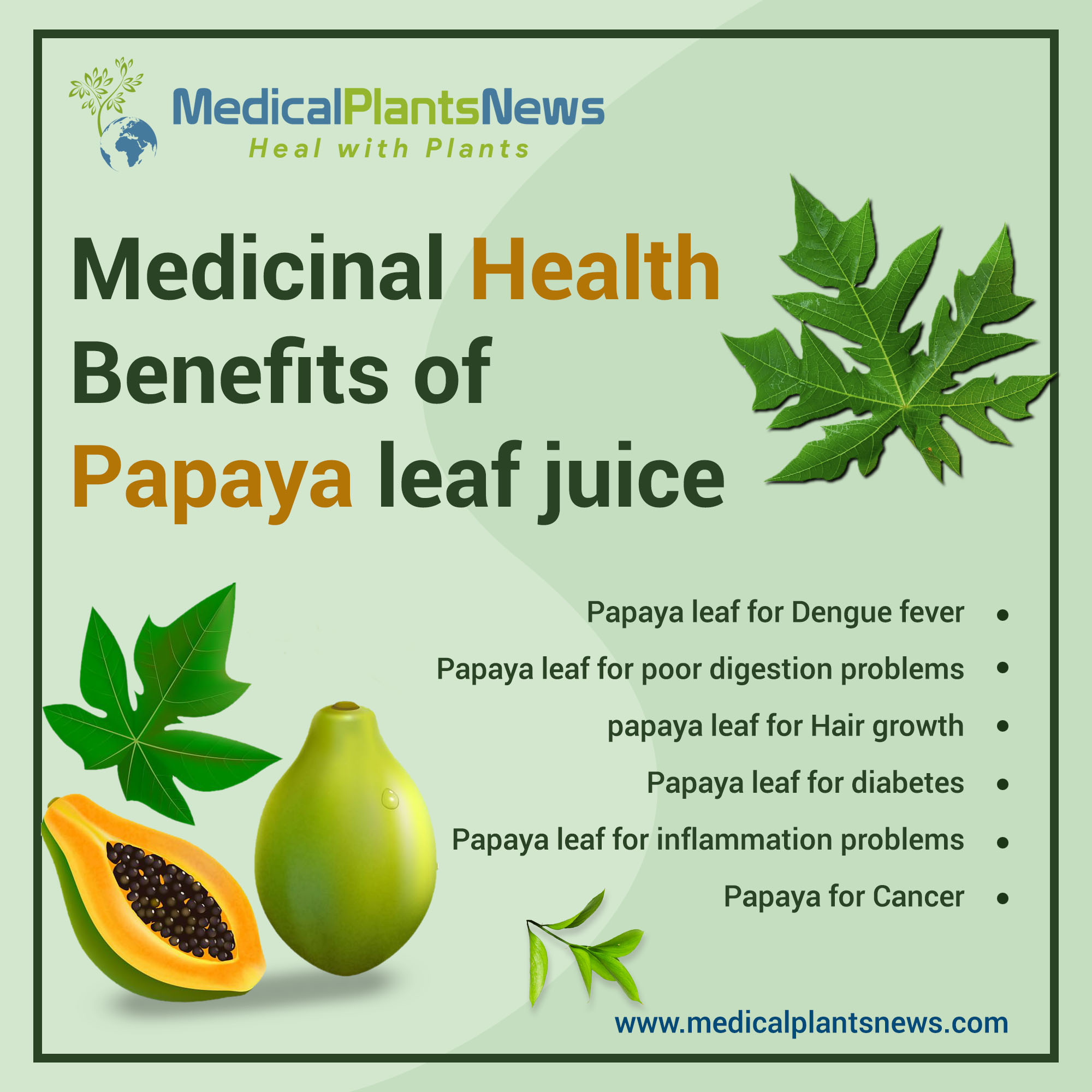 MedicalPlantsNews on Twitter: MedicalPlantsNews on Twitter: