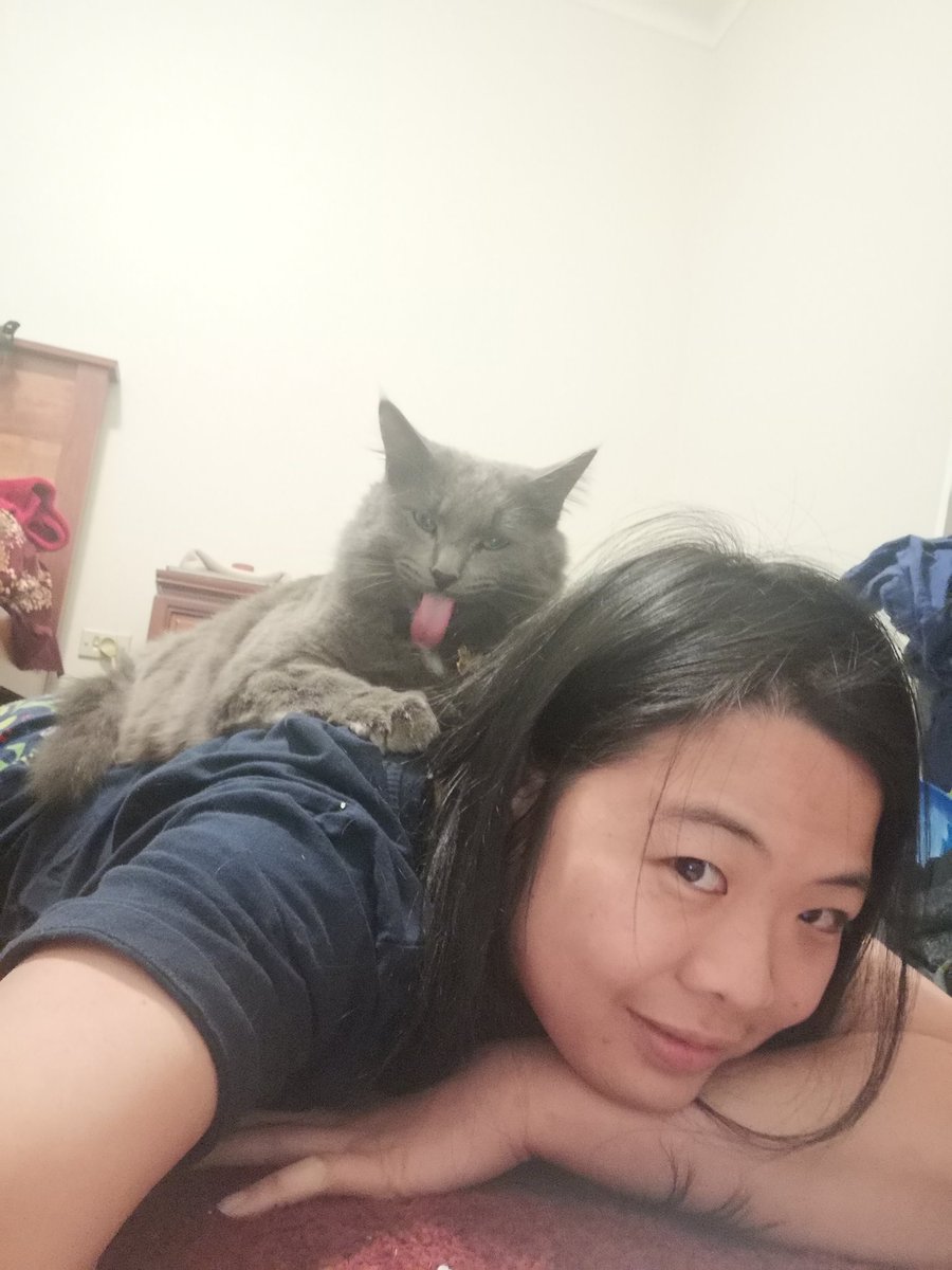 Who needs a shower when you can get cat groomed?! 😻🤣