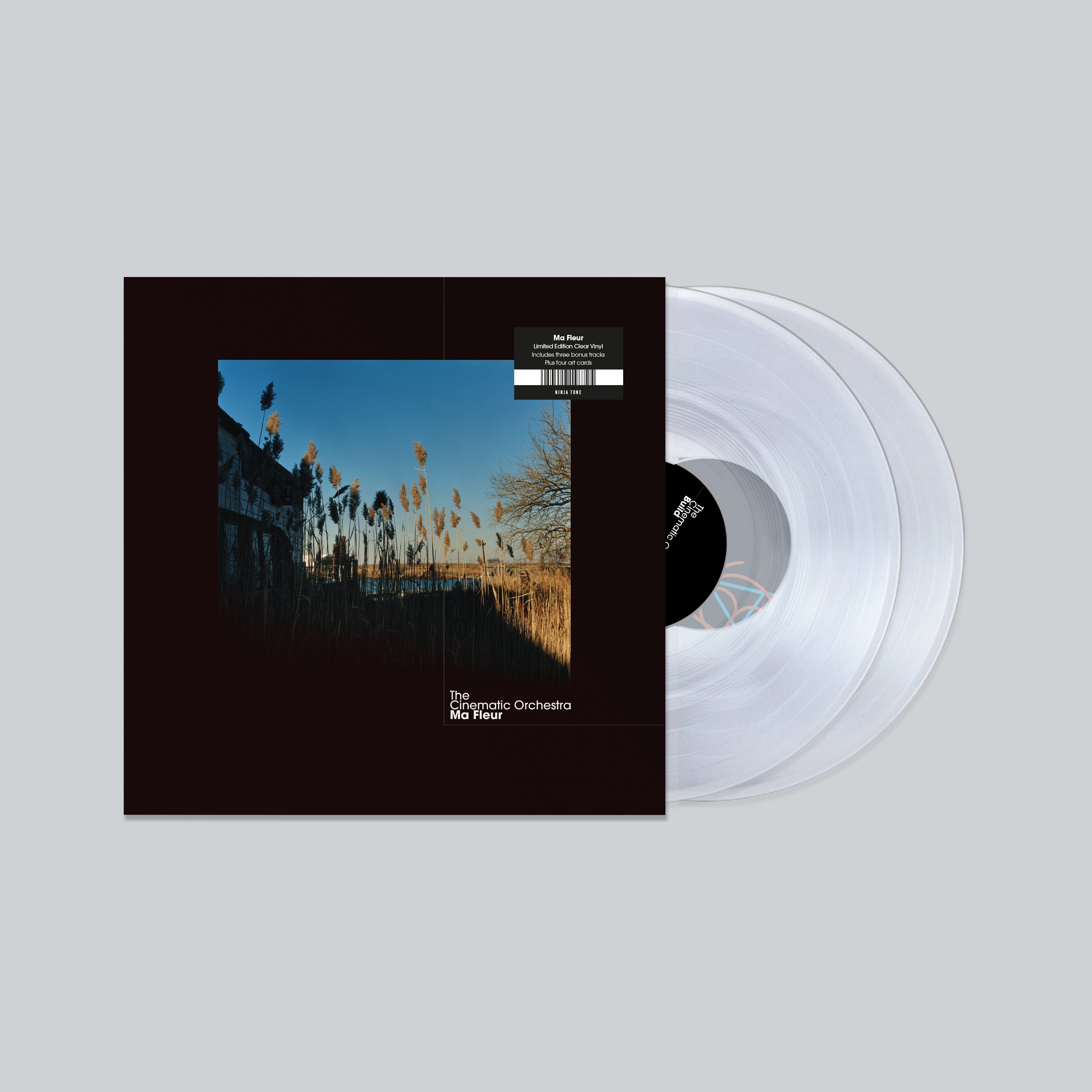 Cinematic orchestra to build. Cinematic Orchestra "ma fleur". Винил Флер. The Cinematic Orchestra ma fleur Cover. Transparent Vinyl.