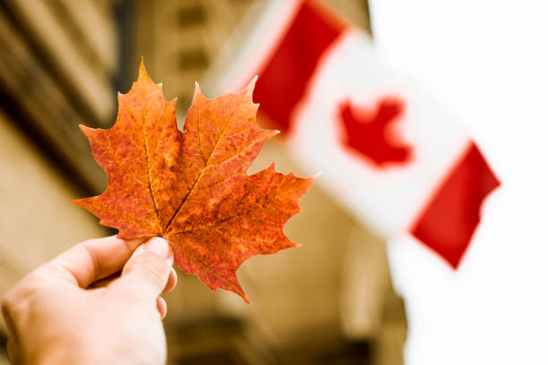 RCMPNS's tweet photo. This year more than ever, #CanadaDay is an opportunity to reflect on our history and culture, and to have reconciling conversations that acknowledge our past and look to the future in solidarity with #Mi’kmaqCommunities and #IndigenousPeople https://t.co/nU1I3NKw5O