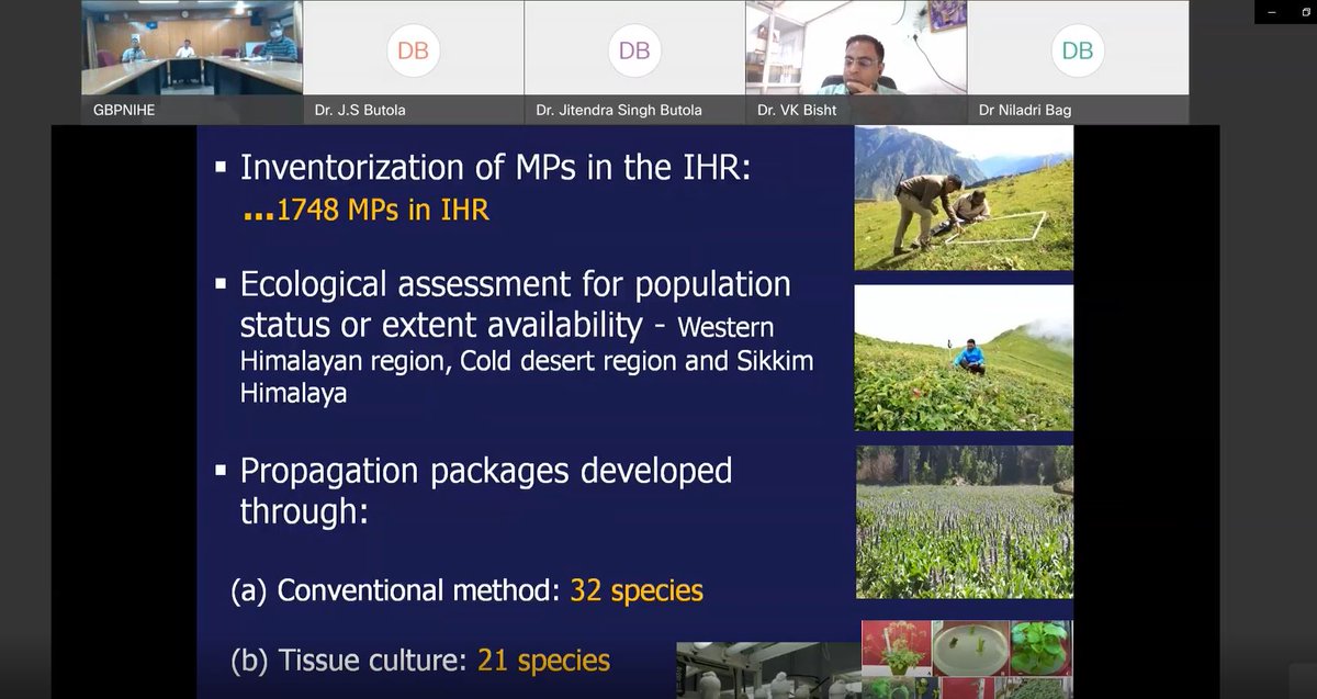 GBPNIHESD's tweet photo. Centre for Biodiversity Conservation &amp; Management (CBCM) of the Institute conducted a Webinar on Identification of potential himalayan plants for value chain development https://t.co/mngTmrOXsg