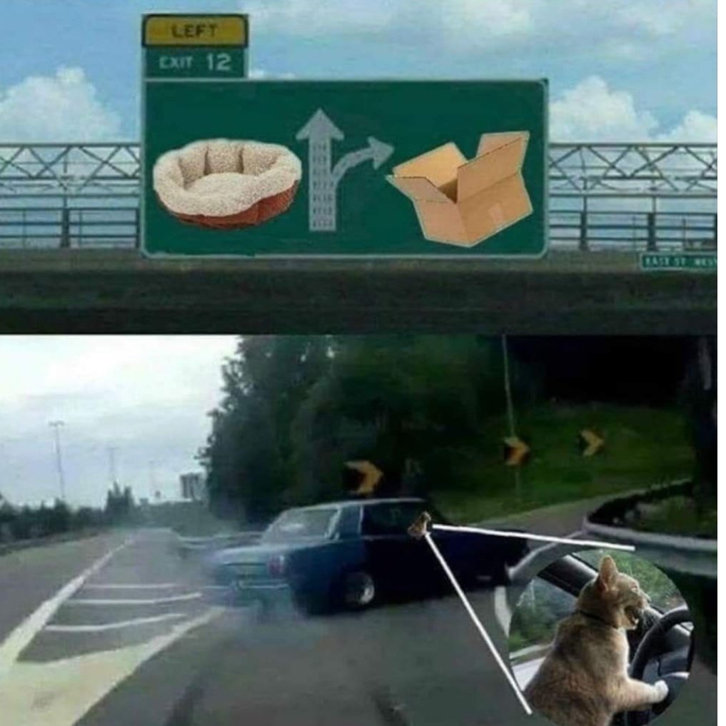 E5NOIzkXwAEunm7?format=jpg&name=medium