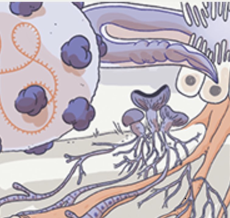 Interested in bacteria-host interactions? We have an open postdoc position with <a href="/ericmiskalab/">Eric Miska Lab</a> <a href="/GurdonInstitute/">Gurdon Institute</a> <a href="/Cambridge_Uni/">Cambridge University</a>. Please RT and get in touch if you are interested!

jobs.cam.ac.uk/job/30378/