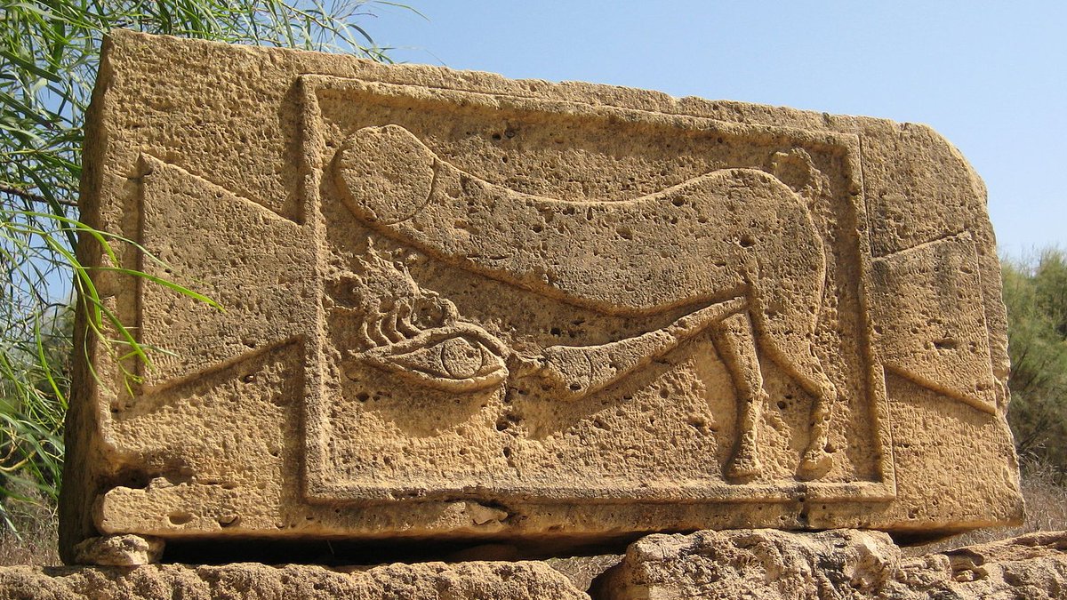 Symmachus 📜🏺 tweet media