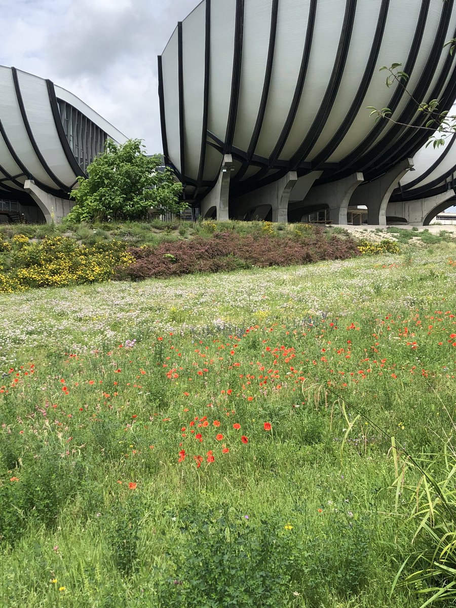 Pugeault Serge tweet media