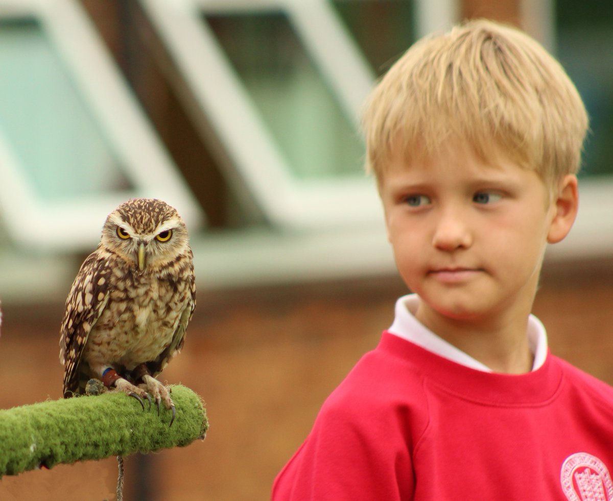 LordsgateCE's tweet photo. As part of our Science and Technology week on 'Feathers and Flight' the children were visited by the magnificent owls from Lancashire Hawks and Owls Trust. Classes were able to meet the owl they are researching this week. #Lordsgatescience https://t.co/m8ecA1YaM0
