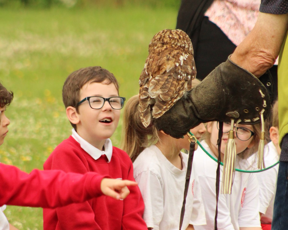 LordsgateCE's tweet photo. As part of our Science and Technology week on 'Feathers and Flight' the children were visited by the magnificent owls from Lancashire Hawks and Owls Trust. Classes were able to meet the owl they are researching this week. #Lordsgatescience https://t.co/m8ecA1YaM0