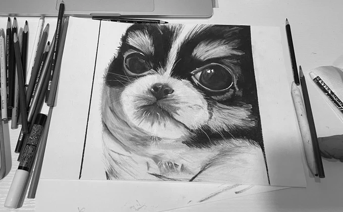 A good tip to check if the contrast of a piece is good is to look at a drawing in black and white, if it looks good like this then it means you got the contrast right and that's  the case for his drawing ✨ https://t.co/R7IcT8tqgy 