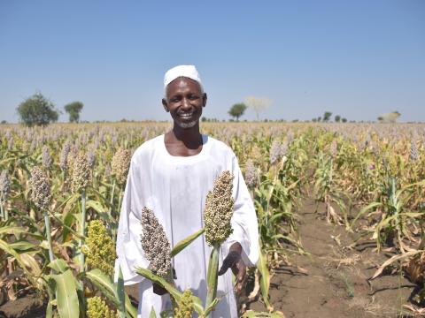 ExportMetro's tweet image. Sudan @sorghum production touch 3.7M ton in 19 - 20.  Expecting good crop this July 2021 as well.
