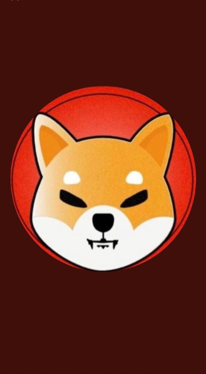 Mantz44644971's tweet photo. 🐕🐕 https://t.co/wbK72O1aPn