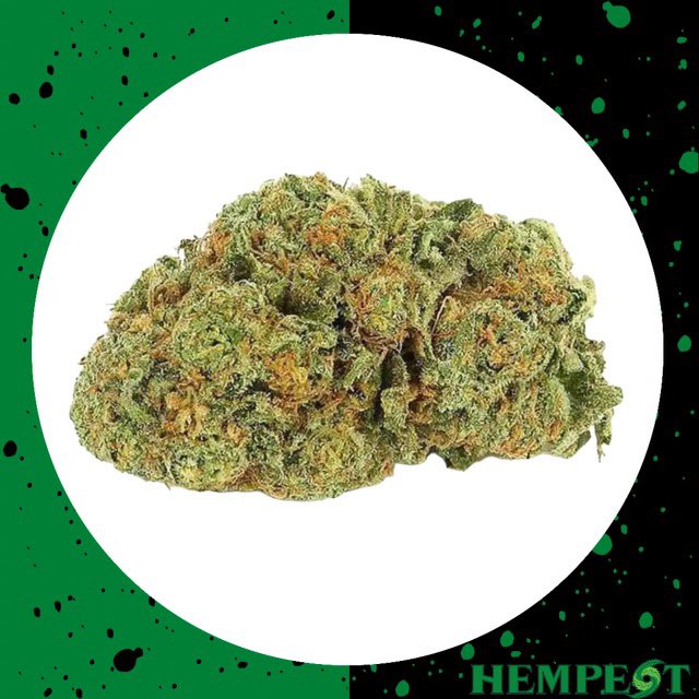In the mood for a little dessert? 🍰

Pie Til I Die is a gassy treat for any OG lover looking to try a new strain. Dead Head and OG are mixed to create this 50/50 hybrid. 🌿