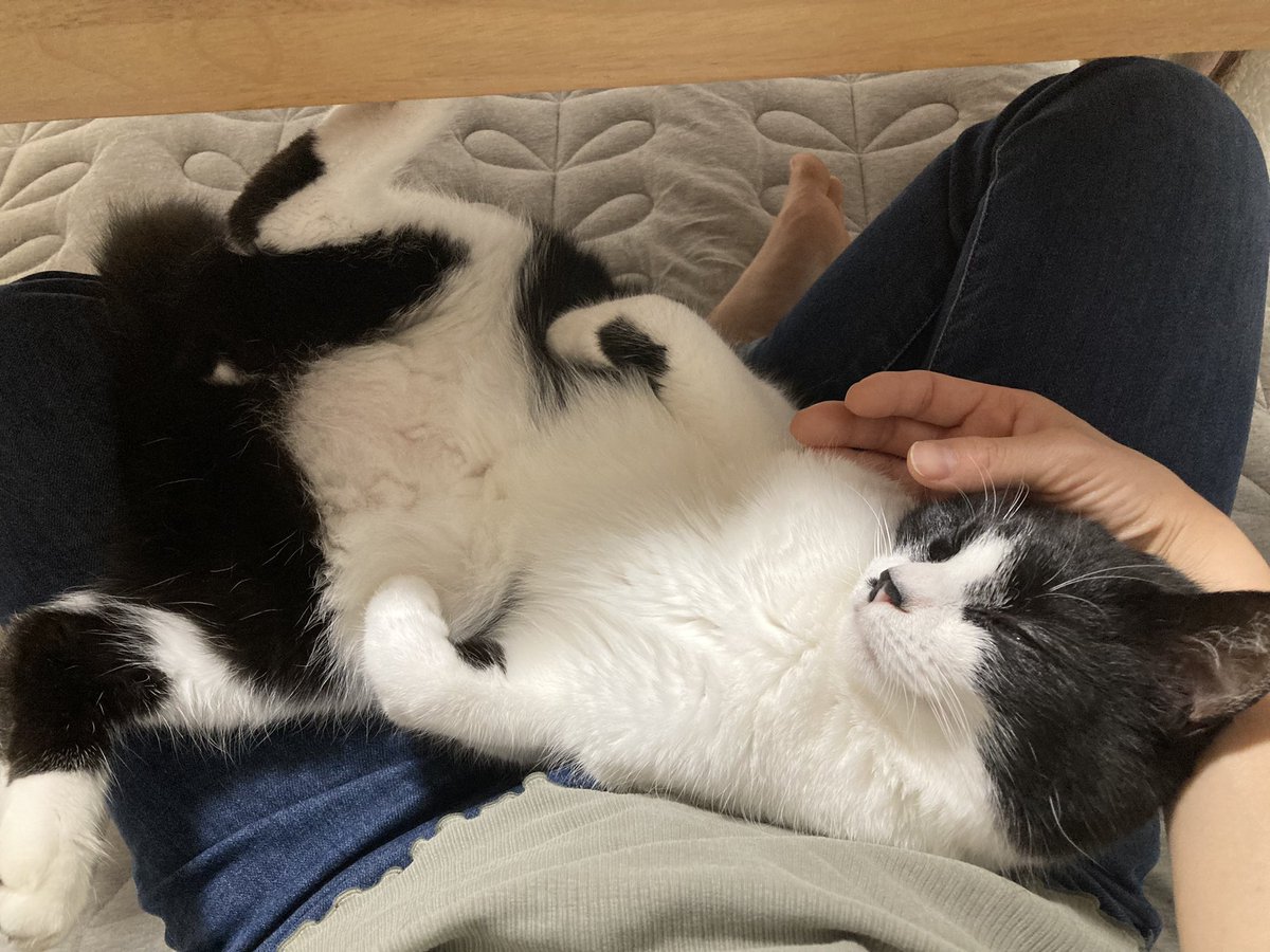 奇跡体験 アンビリバボーで ドア が話題に トレンドアットtv