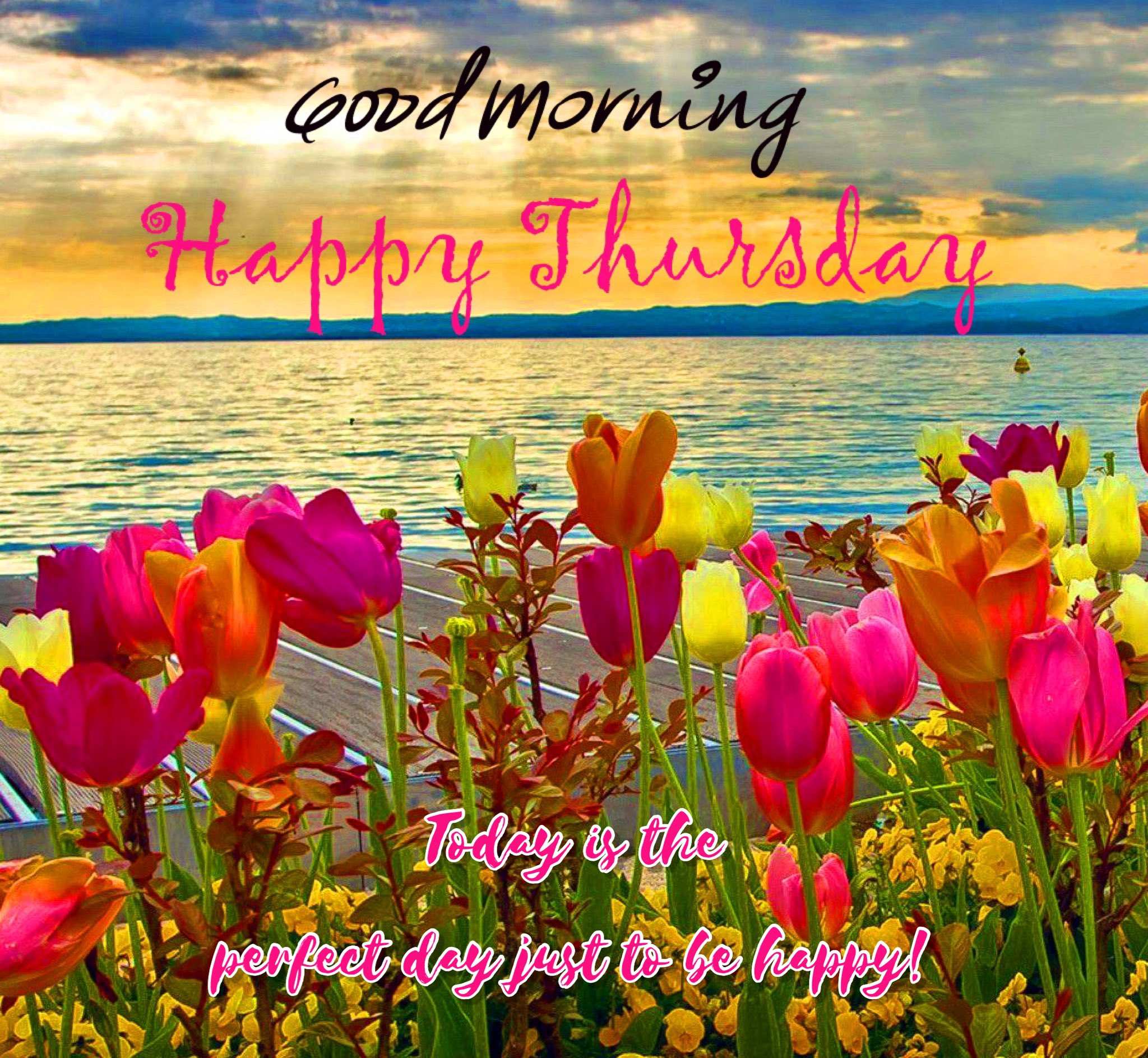 good morning happy thursday images