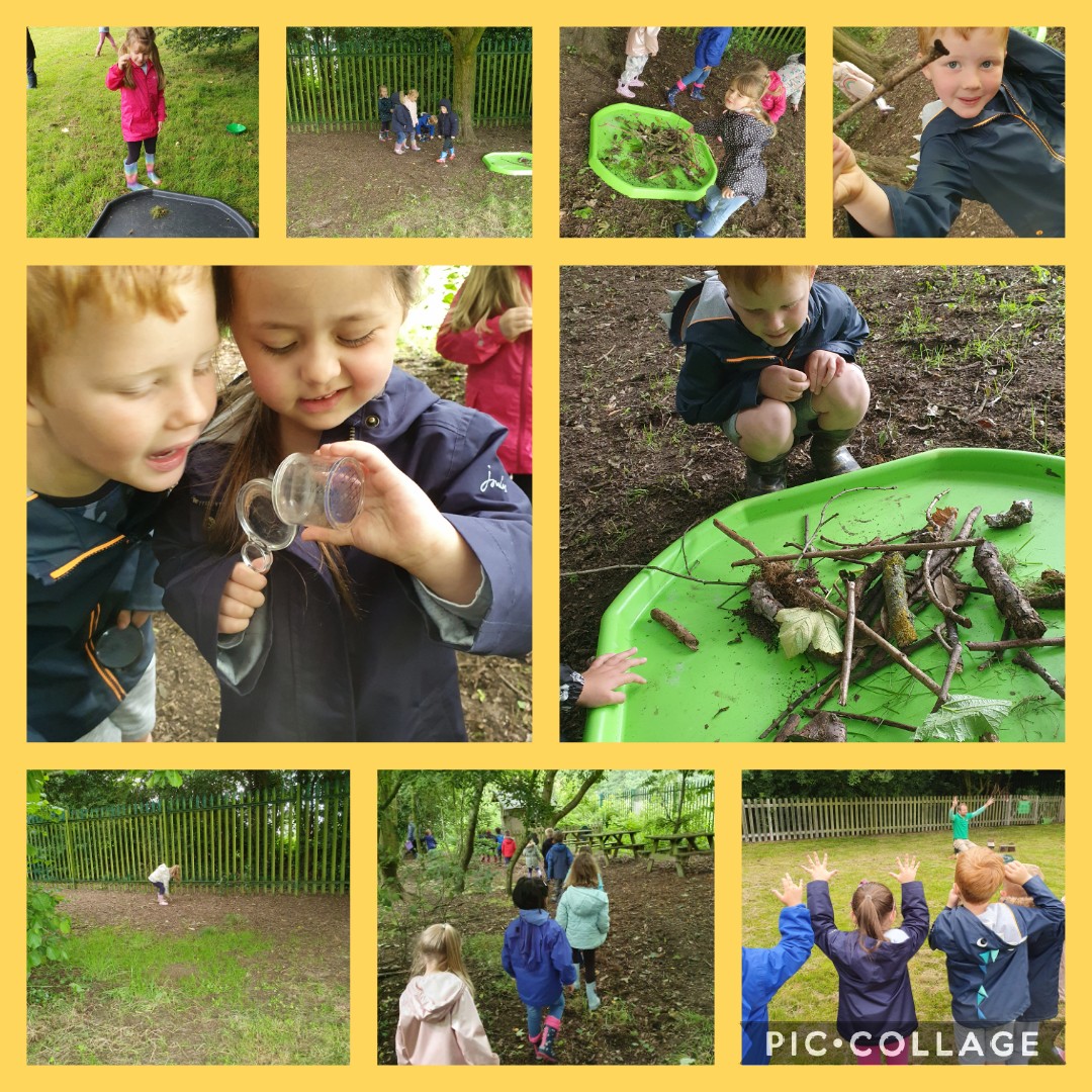 Mrs_Bartle's tweet photo. ThevReception children @SpilsbyPrimary @InfinityAcad experienced a great #wowevent today. We had a visit from Travis @ecocentrepaul. The children had some fantastic opportunities to work as a team and explore. They even had a toasted marshmallow! #ecowarriors #skillsforlife https://t.co/DhsZ4taJeY