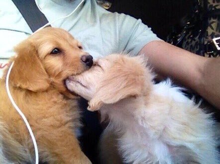 S N A P S (@snapsgallery) on Twitter photo 