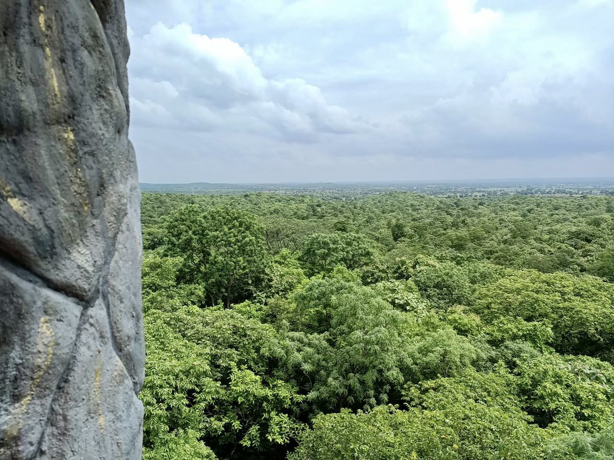 SmitaSabharwal's tweet photo. Get your slice of Life ! 🌳 

Narsapur, Forest block Medak, .. just an hour’s drive from Hyderabad.
#greenTelangana https://t.co/BHWBepEujO