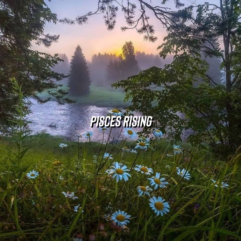 marstear's tweet image. donde firmo😭