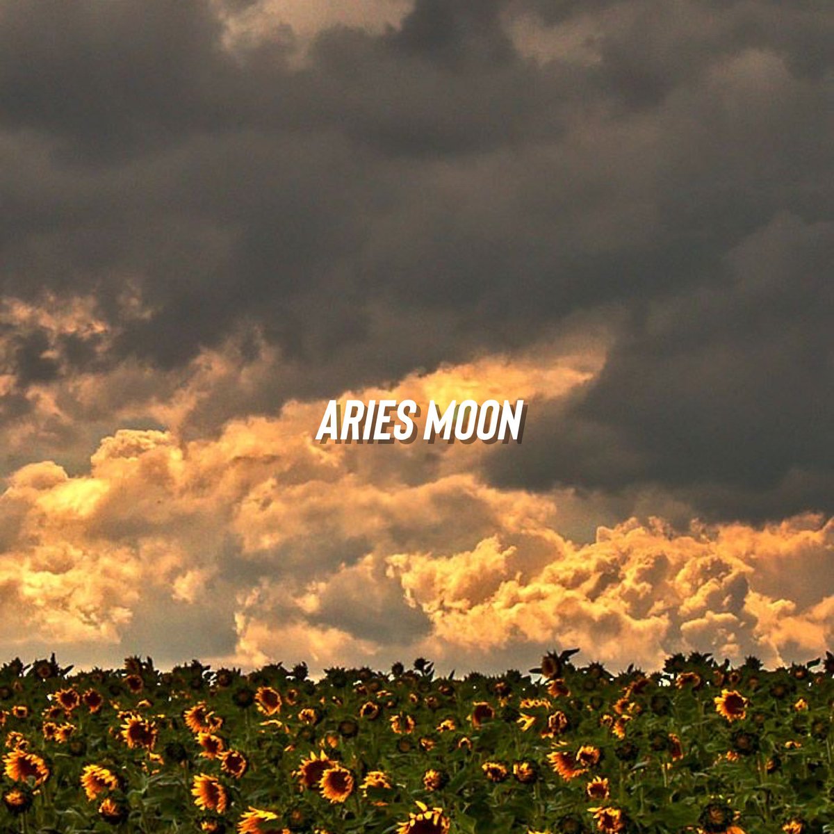 marstear's tweet image. donde firmo😭