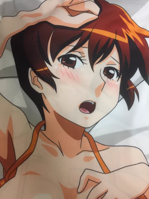 エツ子さんの抱き枕カバーが届いたんですよ、今回図版が良かったので注文しました。 