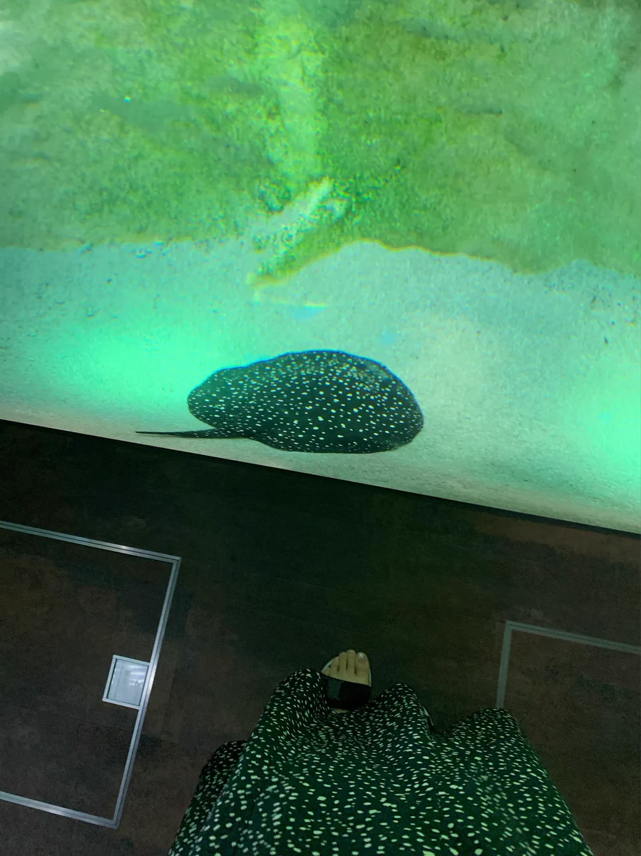 おしゃれをして水族館へ行ったら…スカートの柄がエイとかぶったw