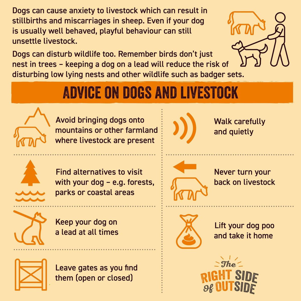 Such important advice! There are plenty of dog friendly walks to choose from and we’ve got you covered with advice for dogs around livestock below! 🐶🐑