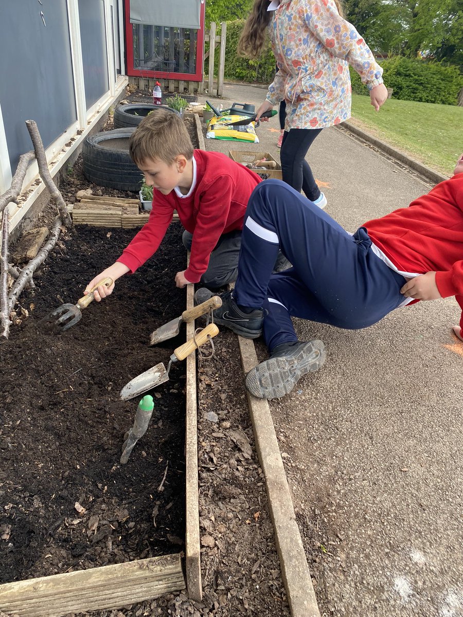 Malpas_Park's tweet photo. What a transformation π the Year 5 garden is looking amazing!! πΏ πΈ π
πͺ΄ π #MPPSHEC #MPPY5 @Keep_Wales_Tidy @EcoSchoolsWales https://t.co/nSWvcrj9TA