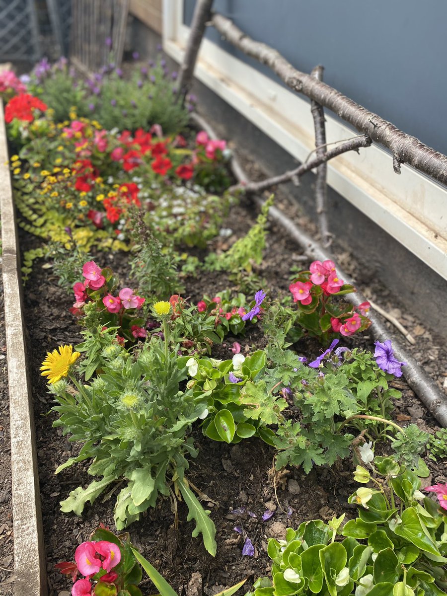 Malpas_Park's tweet photo. What a transformation π the Year 5 garden is looking amazing!! πΏ πΈ π
πͺ΄ π #MPPSHEC #MPPY5 @Keep_Wales_Tidy @EcoSchoolsWales https://t.co/nSWvcrj9TA