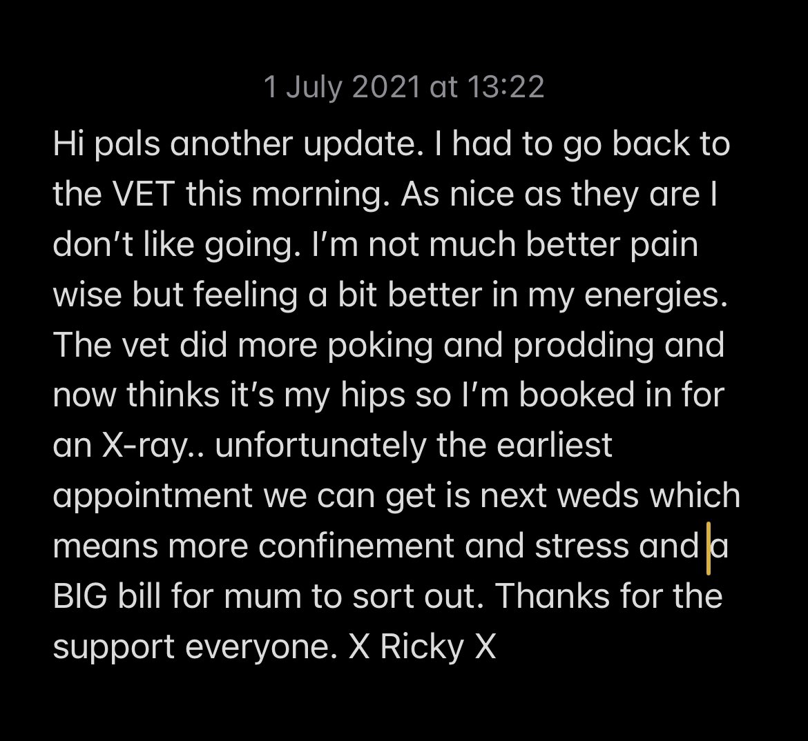 kitten_ricky's tweet photo. Injury update: went back to @WhiteCrossVets #cats #CatsOfTwitter #catsofinstagram #catoftheday #kitty #kittygang #kittycat #kittens #RescuedCat #adoptdontshop #adoptdontbuy #rescuecatsrock #rickyrocks #cutecat #tuxedocat #zshq #floofyfursday #fridayeve https://t.co/HDhC0mWNuM