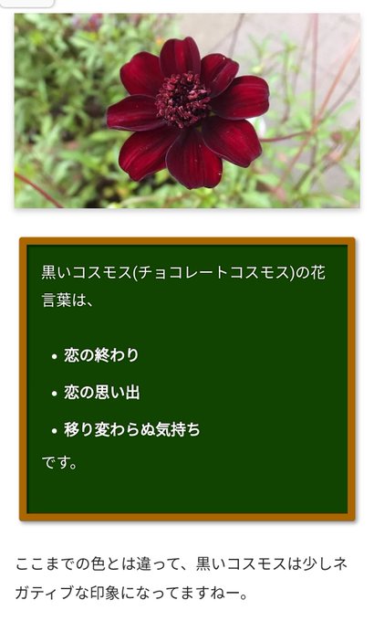 コスモスのtwitterイラスト検索結果 コスモスのtwitterイラスト検索結果