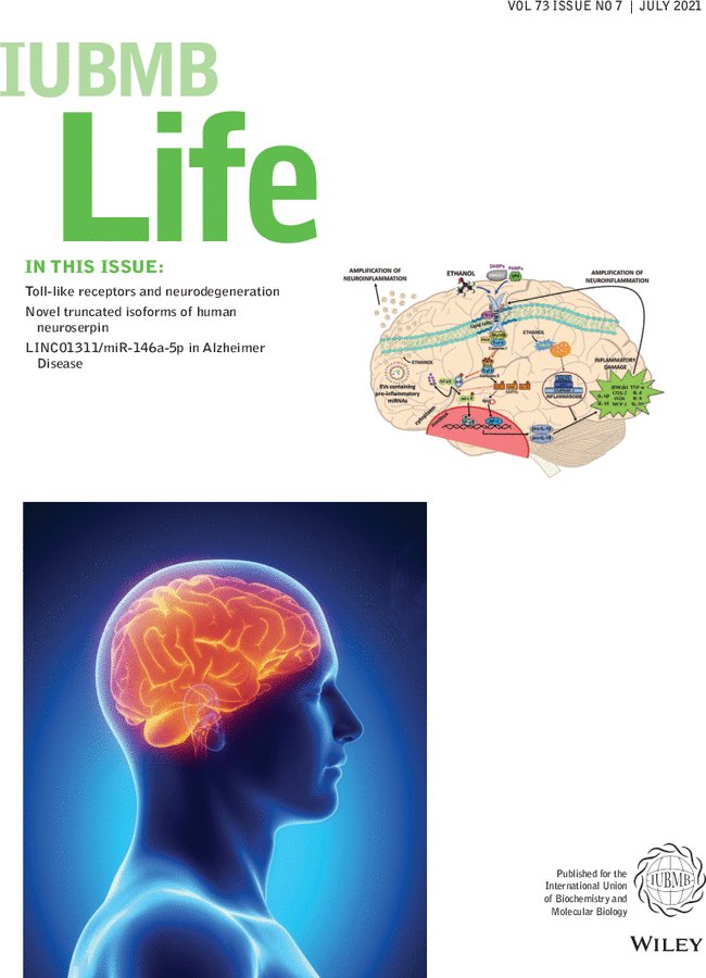 July issue🔥off the press! 👉iubmb.onlinelibrary.wiley.com/toc/15216551/2… ✅#tollLikereceptors and #neurodegeneration ✅Novel truncated isoforms of human #neuroserpin ✅LINC01311/miR-146a-5p in #AlzheimerDisease #lncRNA #miRNA #neuroinflammation #Parkinsondisease #stroke #braindamage #ALS