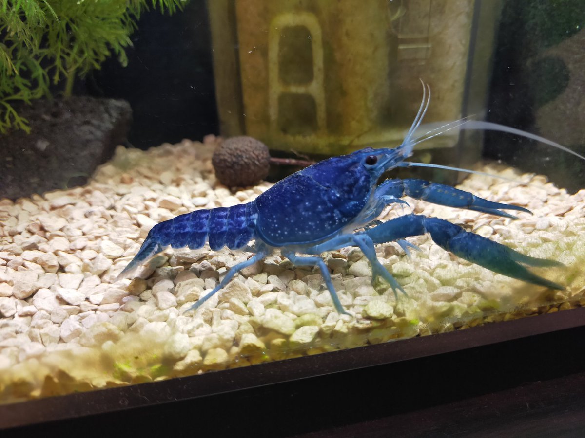 シザー ট ইট র অন সন ধ ন