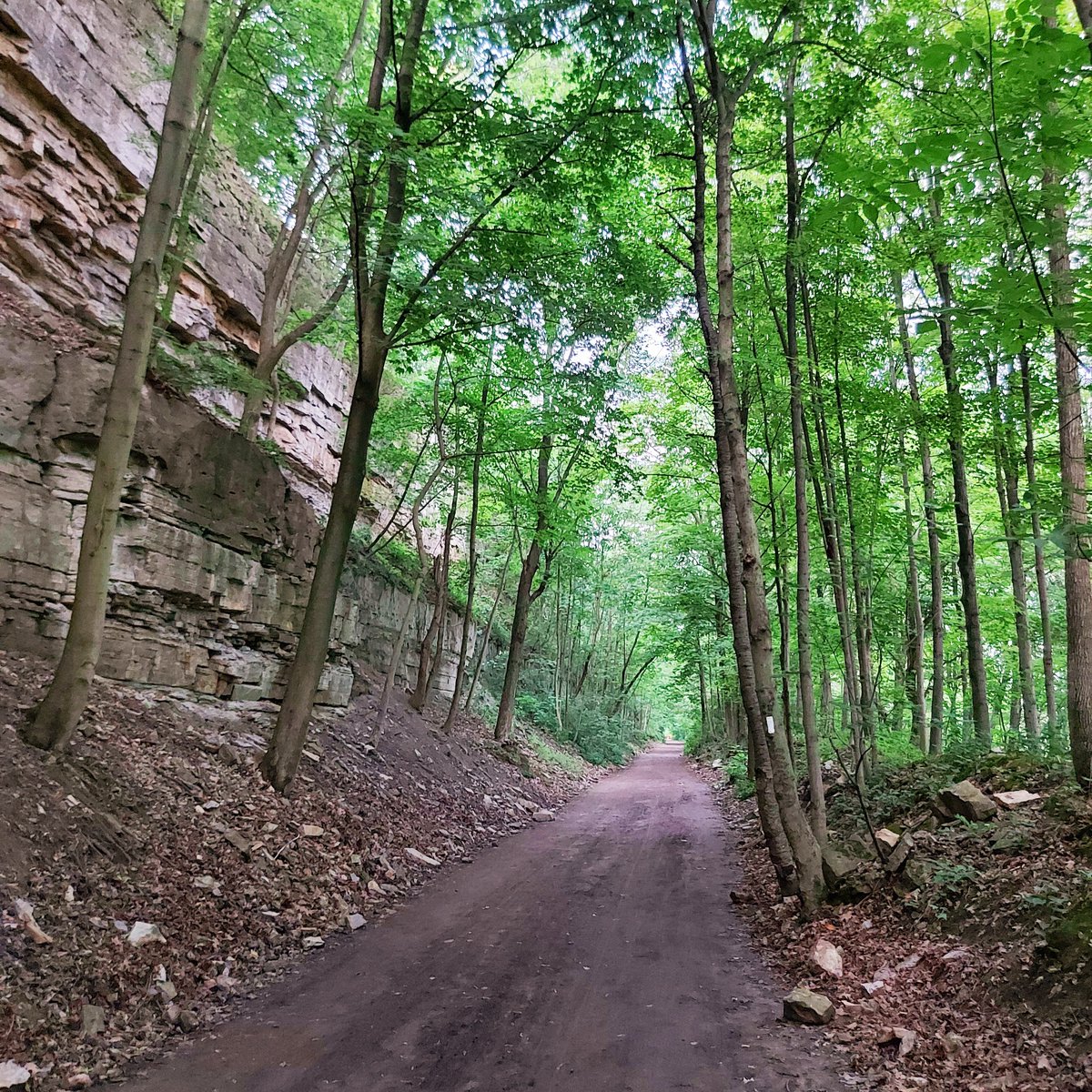 Kyle Slote tweet media