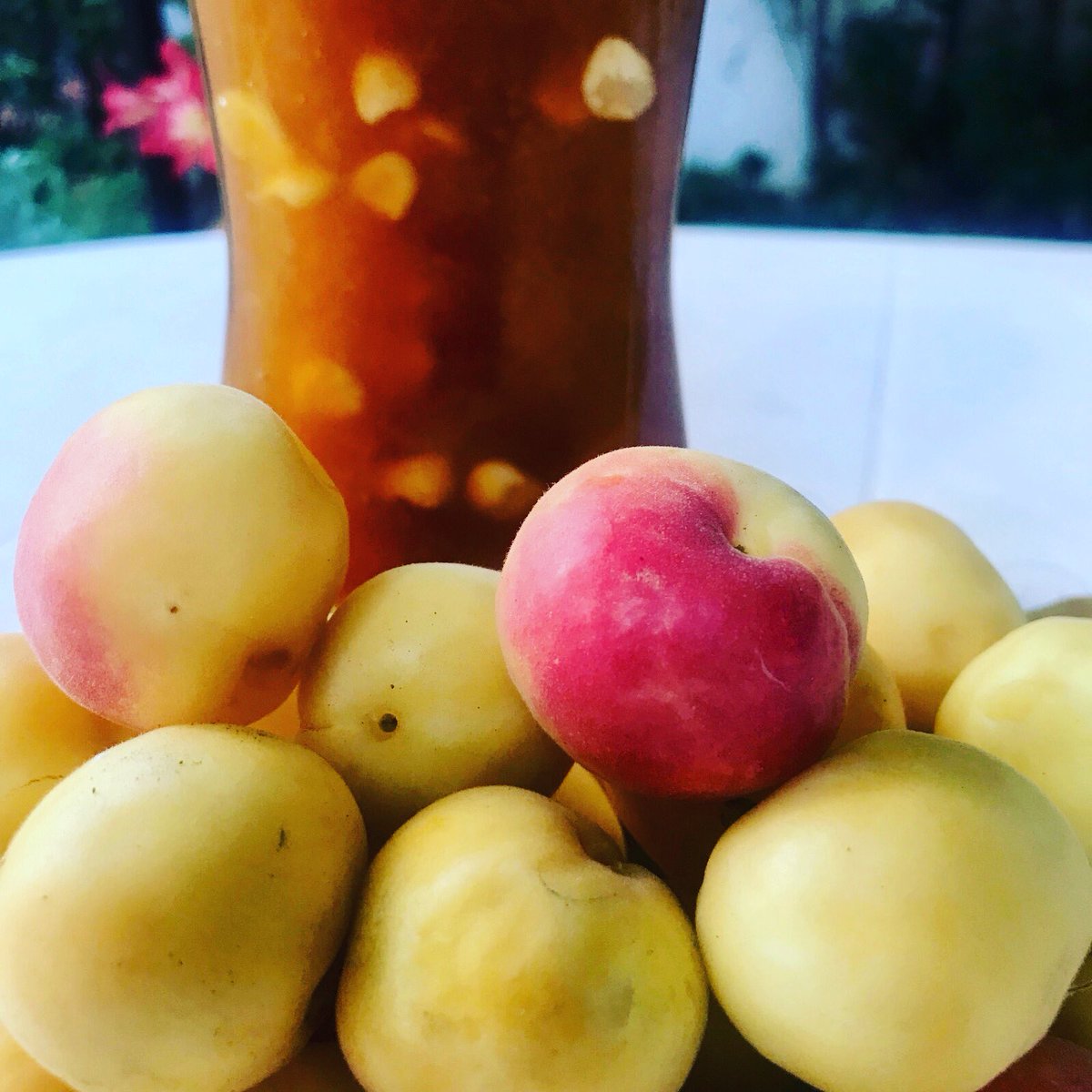 Alia Yunis tweet media