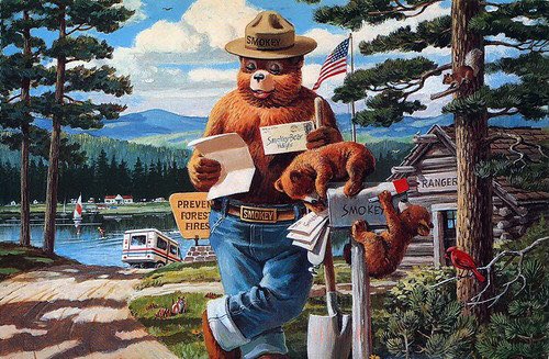 MidewinNatTP's tweet photo. #NationalZipCodeDay @smokey_bear receives SO MUCH mail that he has his very own zip code! Write a letter to Smokey Bear today, and send it to: Smokey Bear, 20252. https://t.co/Hg5mnq1rj4 https://t.co/vK6Z7pfowG