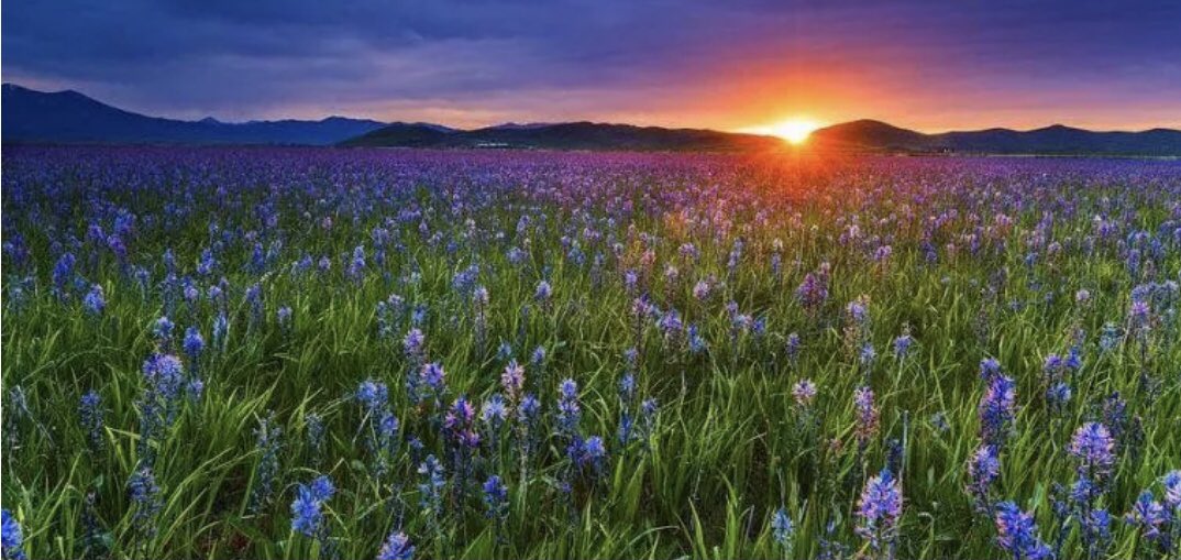 KolisArt's tweet photo. Don��t judge each day by the harvest you reap but by the seeds that you plant. #thursdaymorning #kolisart #ArtistOnTwitter 👩‍🌾👩‍🌾👩‍🌾 https://t.co/W2a3YkvaFK
