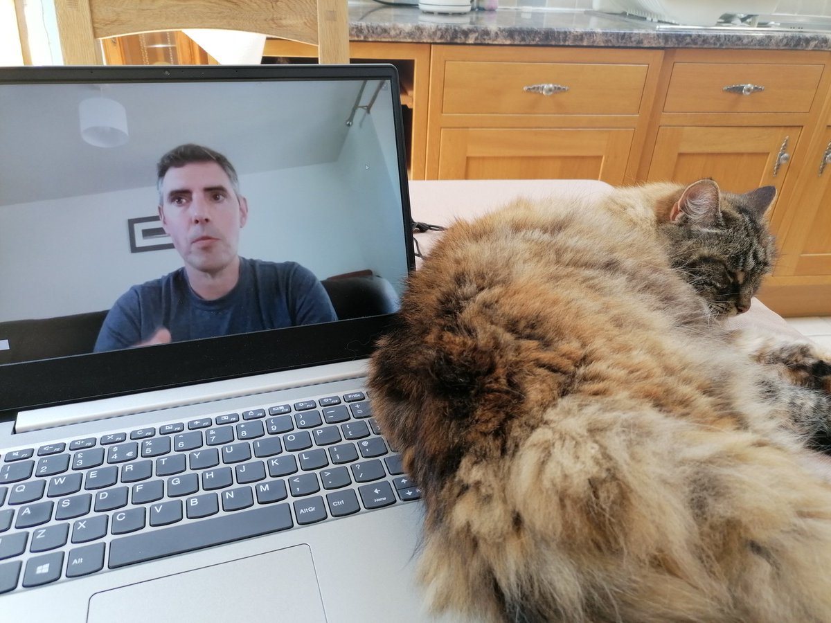 #LTCU2021 Nutmeg is keen to get some tips for her online teaching sessions!