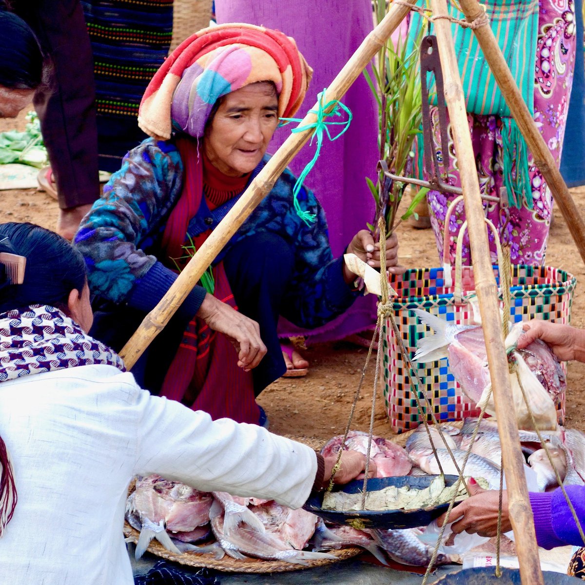 ShopkeeperStory's tweet photo. Buying fresh fish at an outdoor market. #Myanmar #fishmarket #lake https://t.co/1llk8Ri3te