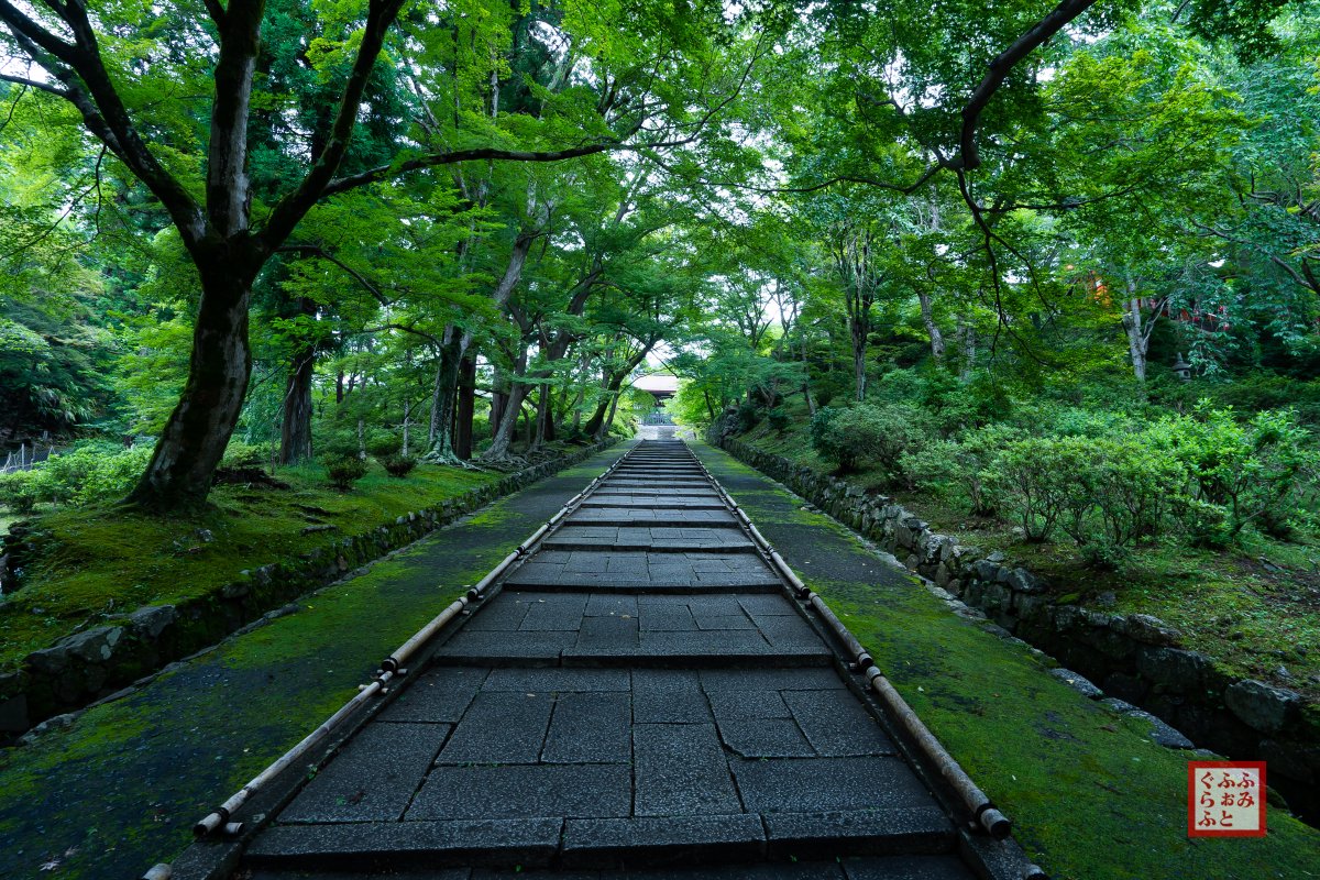 chizu_0620's tweet photo. #京都 #令和三年水無月 https://t.co/FaruMCOREl