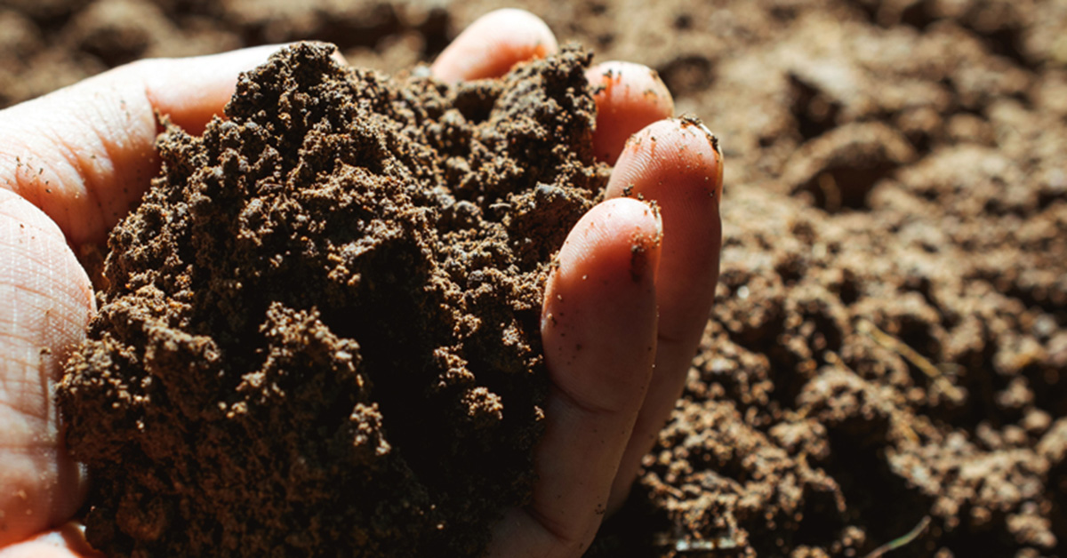 COMAND is more than just #compost, it restores soil's natural ecosystem by providing important organic matter and beneficial microbes crucial to #soilhealth. With millions of aerobic bacteria and miles of fungi in just 1 teaspoon of #COMAND, a little packs a very powerful punch.