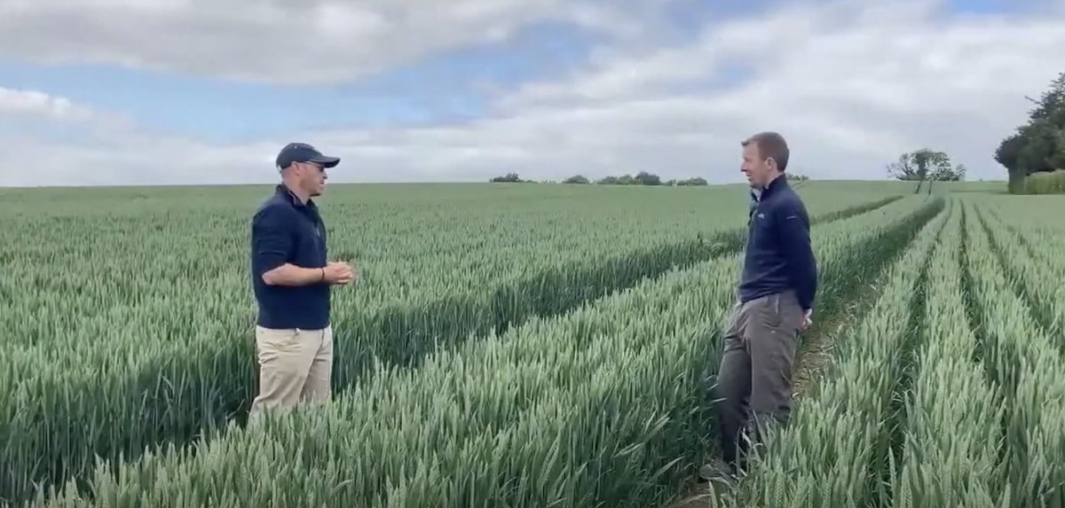 teagasc's tweet photo. The latest #TheTillageEdge episode focused on blackgrass control and it caught up with two #ECTproject focus farmers about their experiences operating a non-plough based system, Gareth Culligan, Louth & Michael Grace, north Kildare. Listen in https://t.co/QtGo3tyXu5 @TeagascCrops https://t.co/xmPsVzHK6H