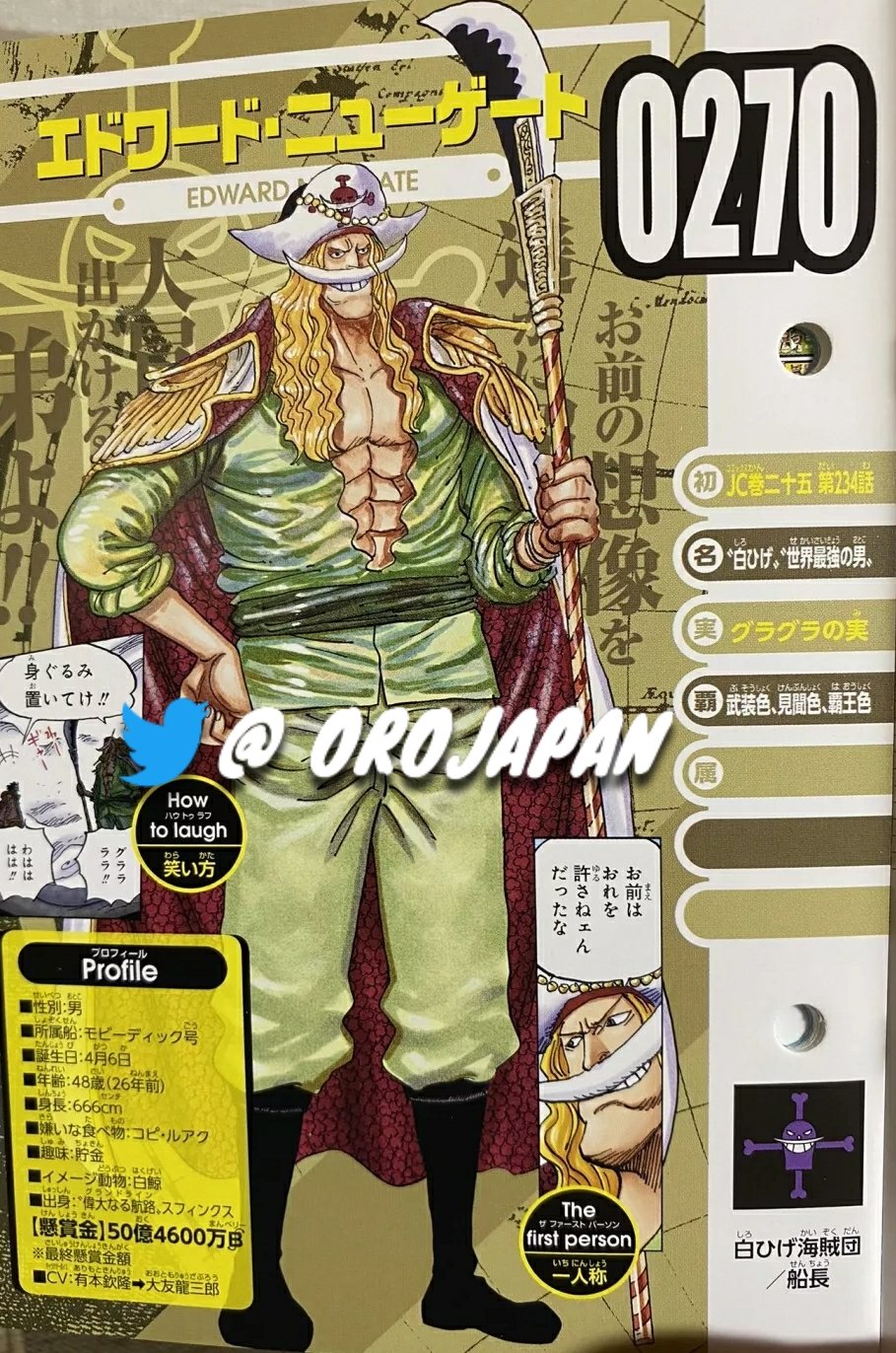 Twitter 上的orojapan Young Whitebeard Vivre Card Onepiece Vivrecard T Co 7v3pcex0wp Twitter