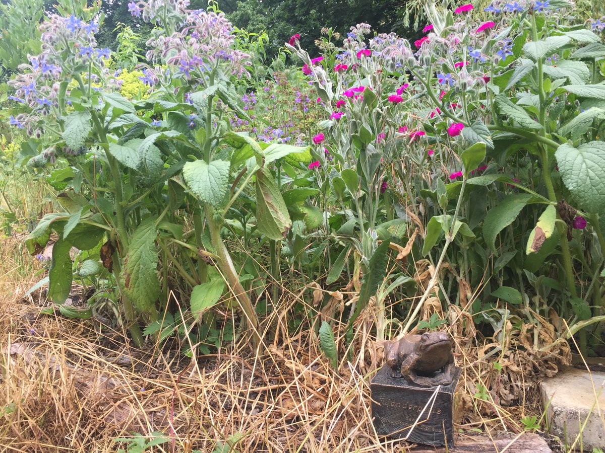 Die KuBiZ #Gartengruppe hat  für das Projekt „Pankow summt und brummt“ den #UmweltpreisPankow 2020/21 sowie dem Wanderpreis „Goldenen Kröte“gewonnen. 
Herzliches Glückwunsch. 

#KuBiZgartengruppe
#offenergarten
#grüninberlin